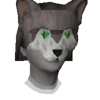 cat skillz avatar
